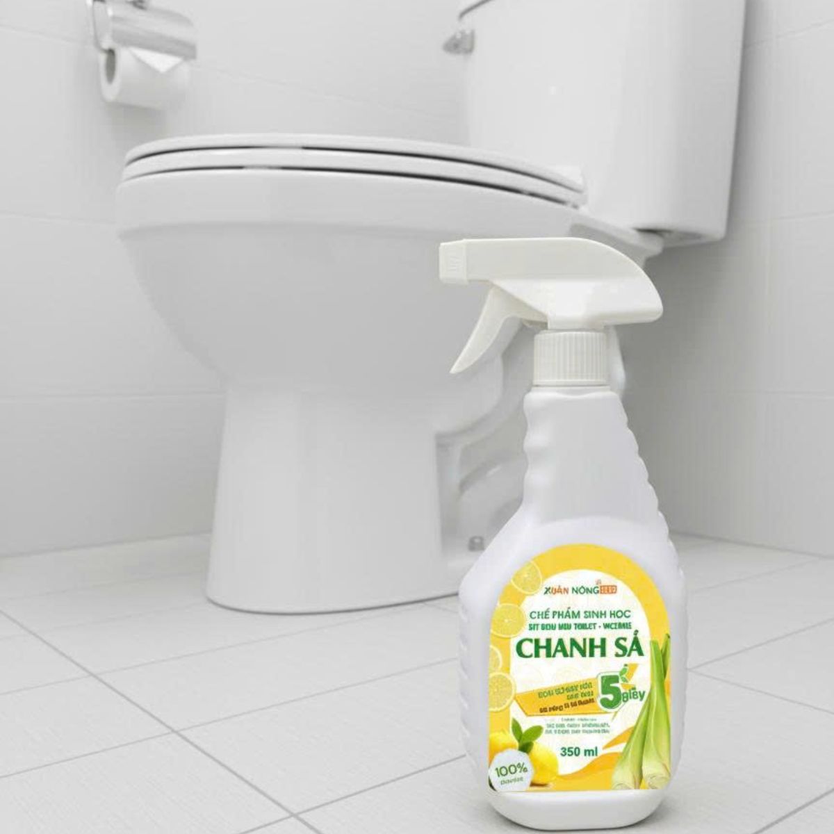 xit-khu-mui-toilet-chanh-sa-2
