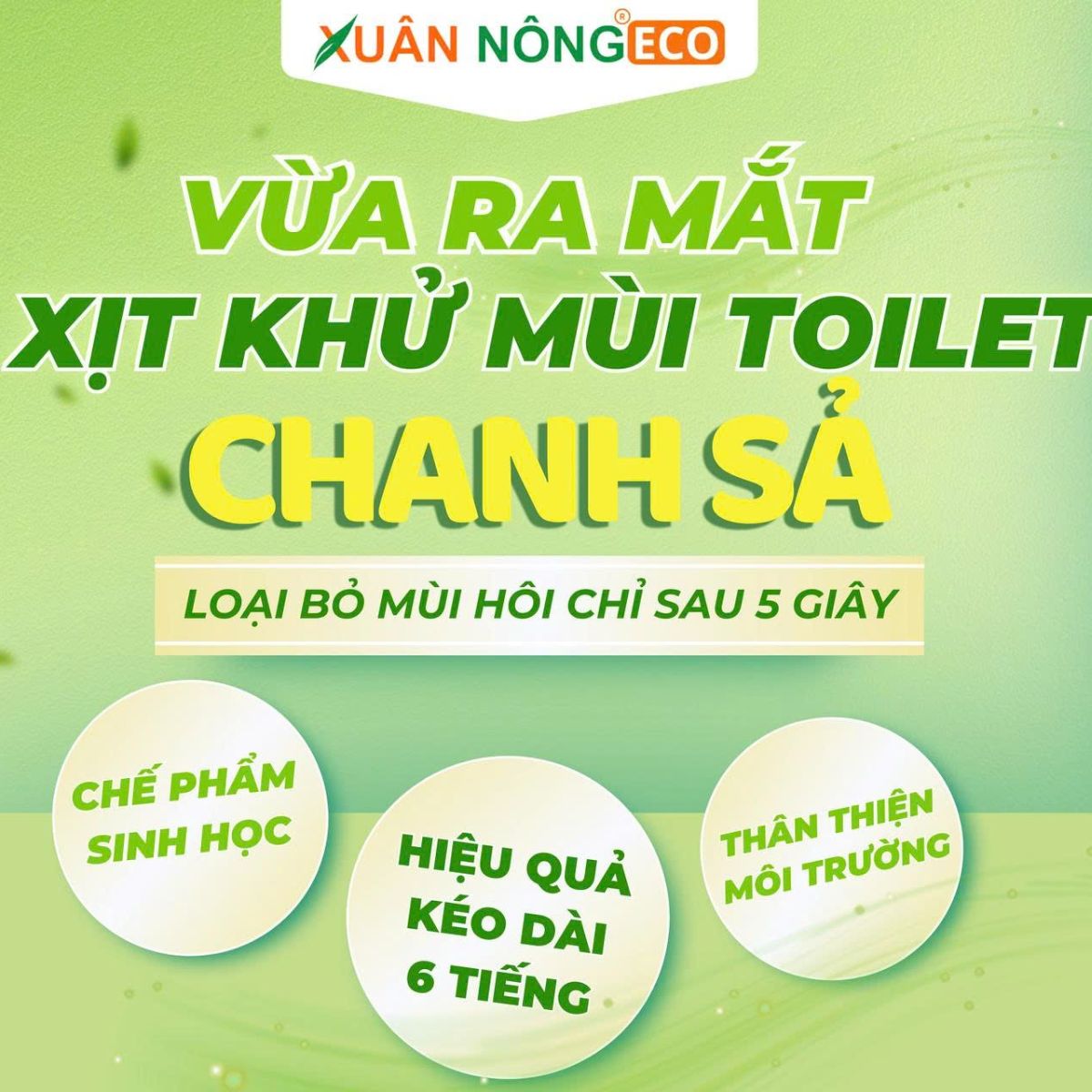 xit-khu-mui-toilet-chanh-sa-4