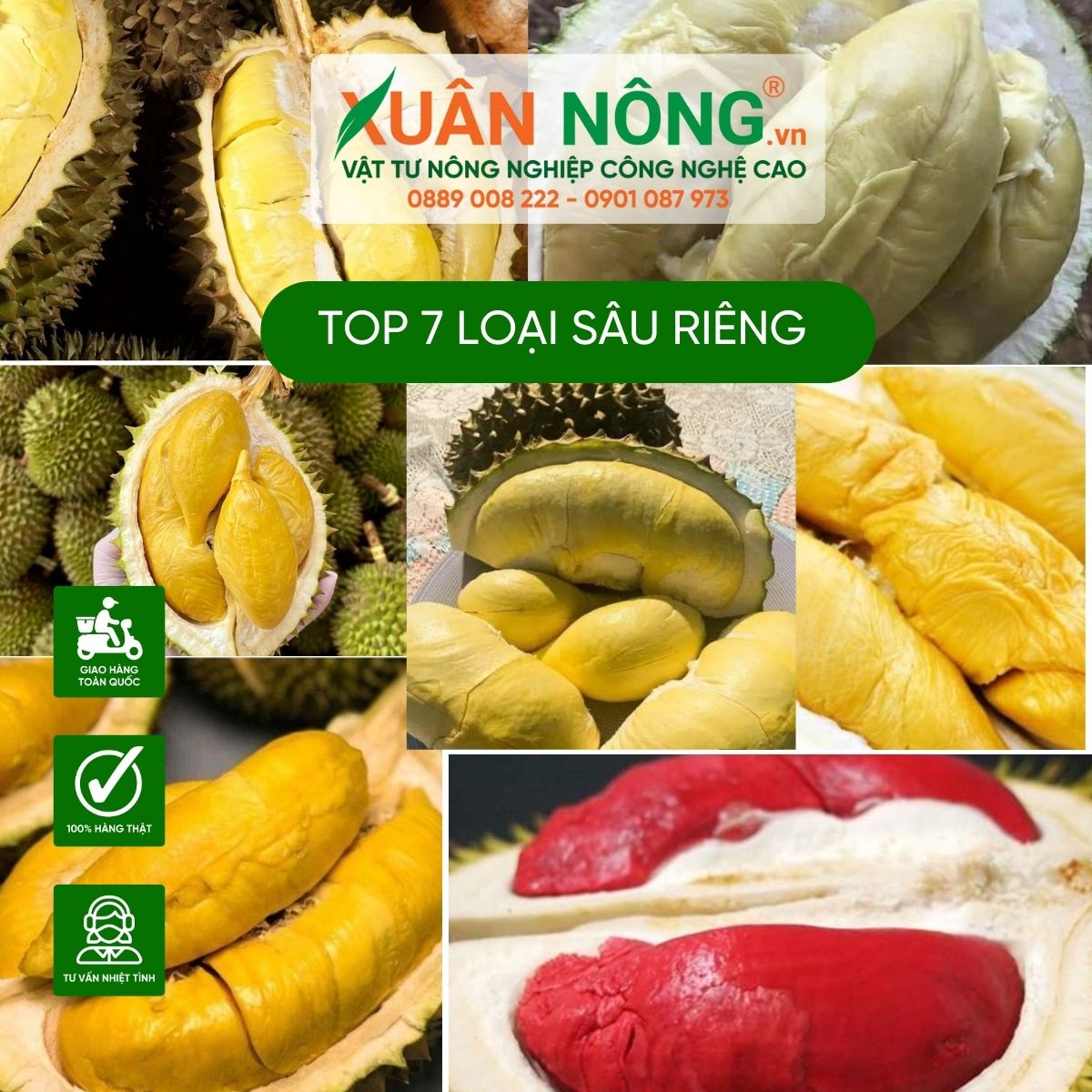 Top-7-loai-sau-rieng