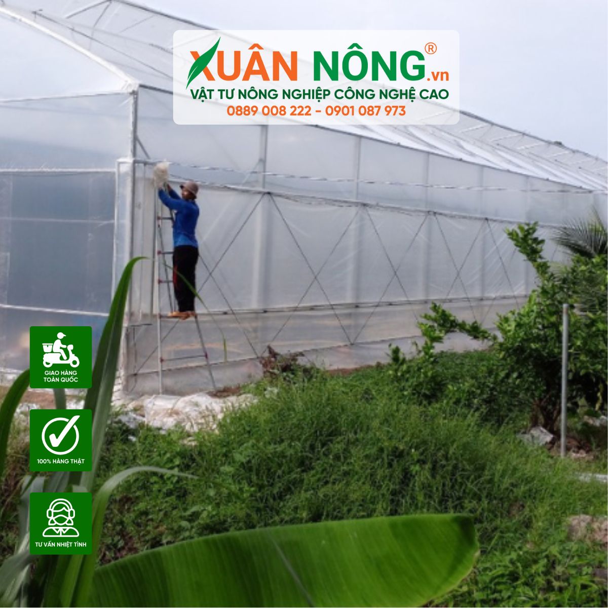 nha-mang-trong-dua-luoi-xuan-nong