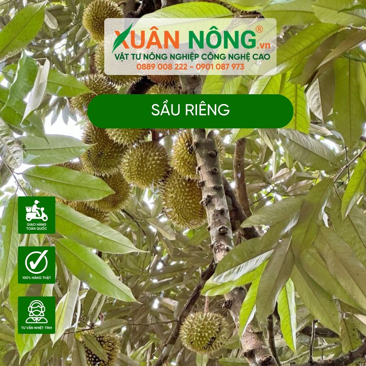 sau-rieng-0.7-kg