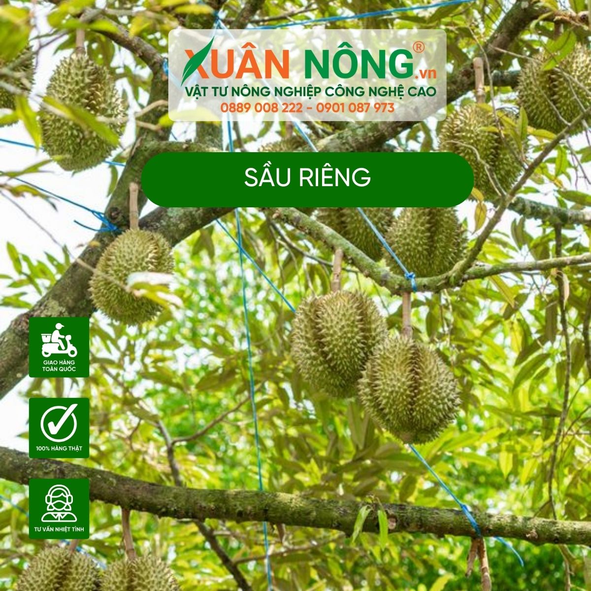 sau-rieng-2kg