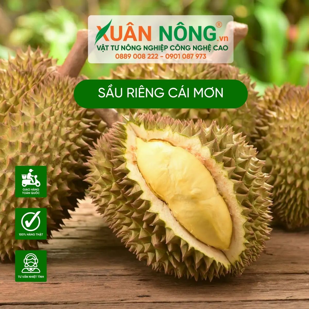 sau-rieng-cai-mon-la-sau-rieng-gi 1