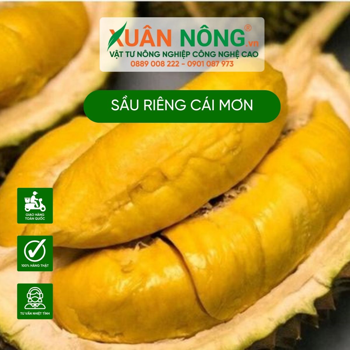 sau-rieng-cai-mon