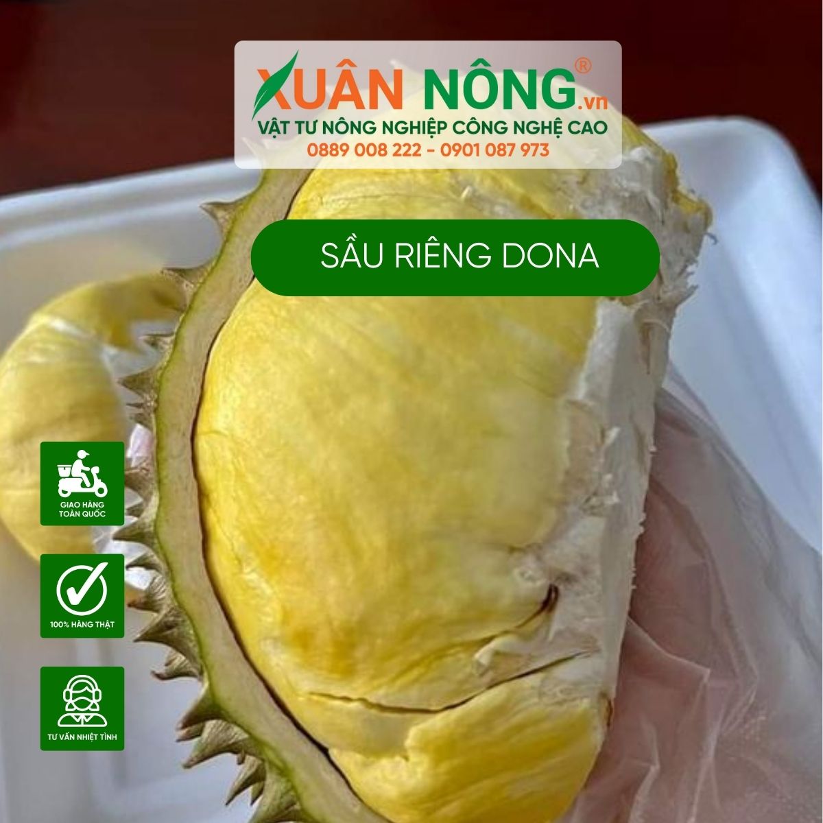 sau-rieng-dona-ngon-ngot