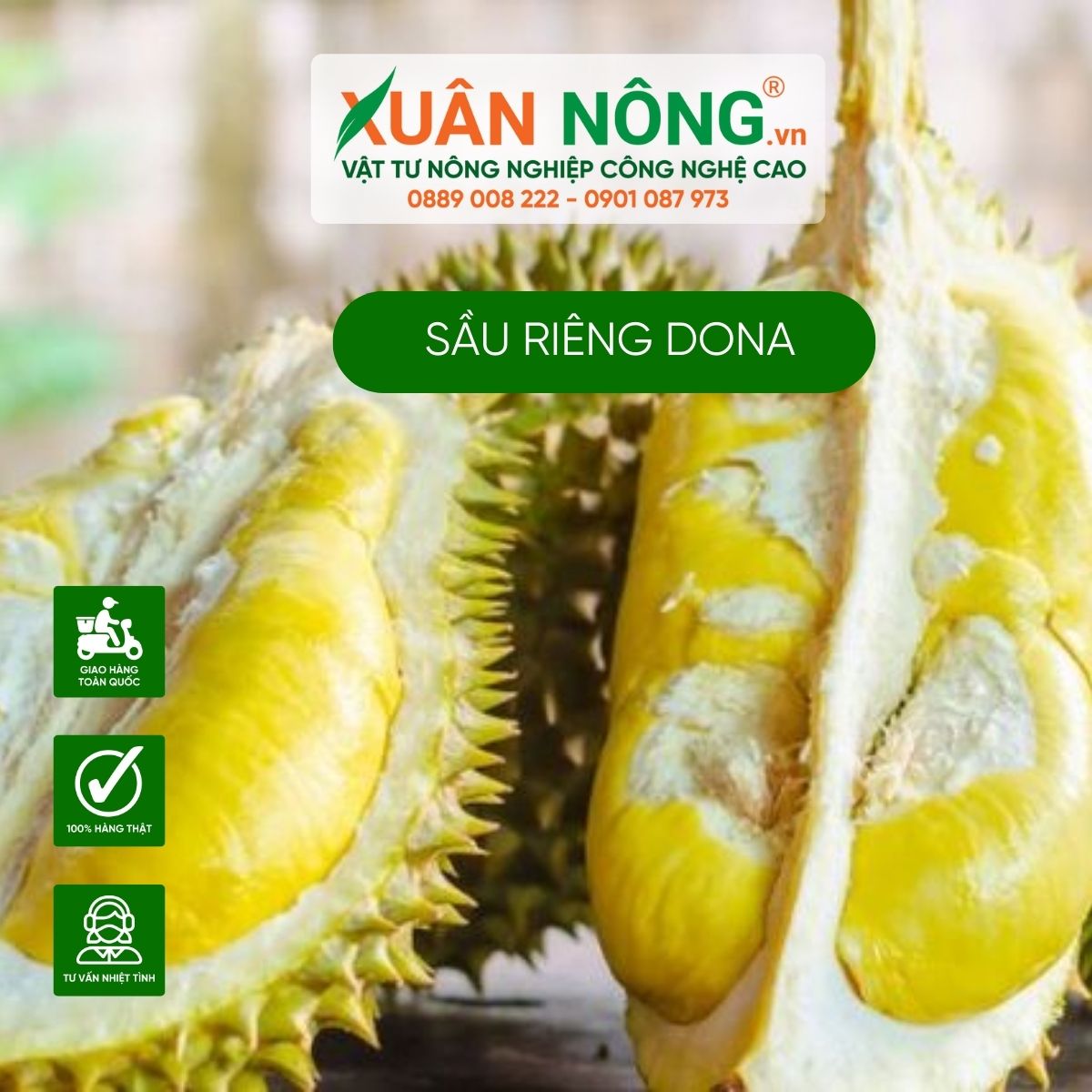 sau-rieng-dona