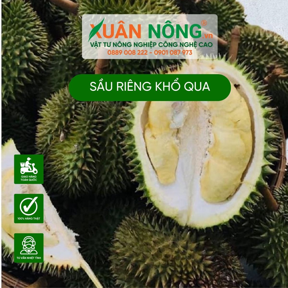 sau-rieng-kho-qua-la-gi