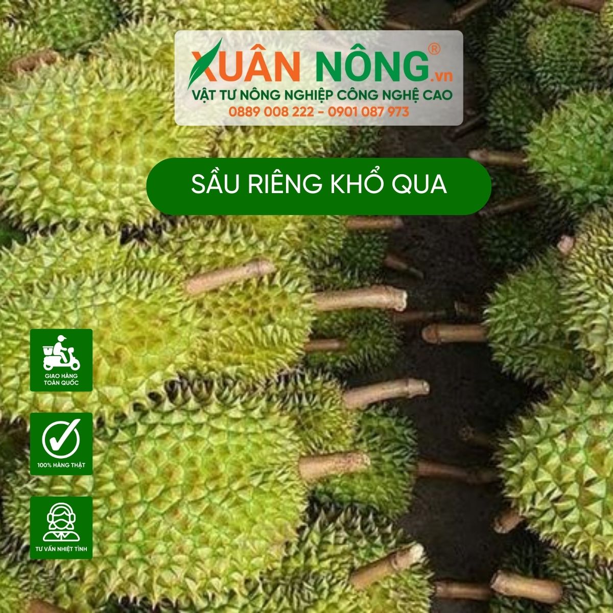 sau-rieng-kho-qua-o-dau-ban