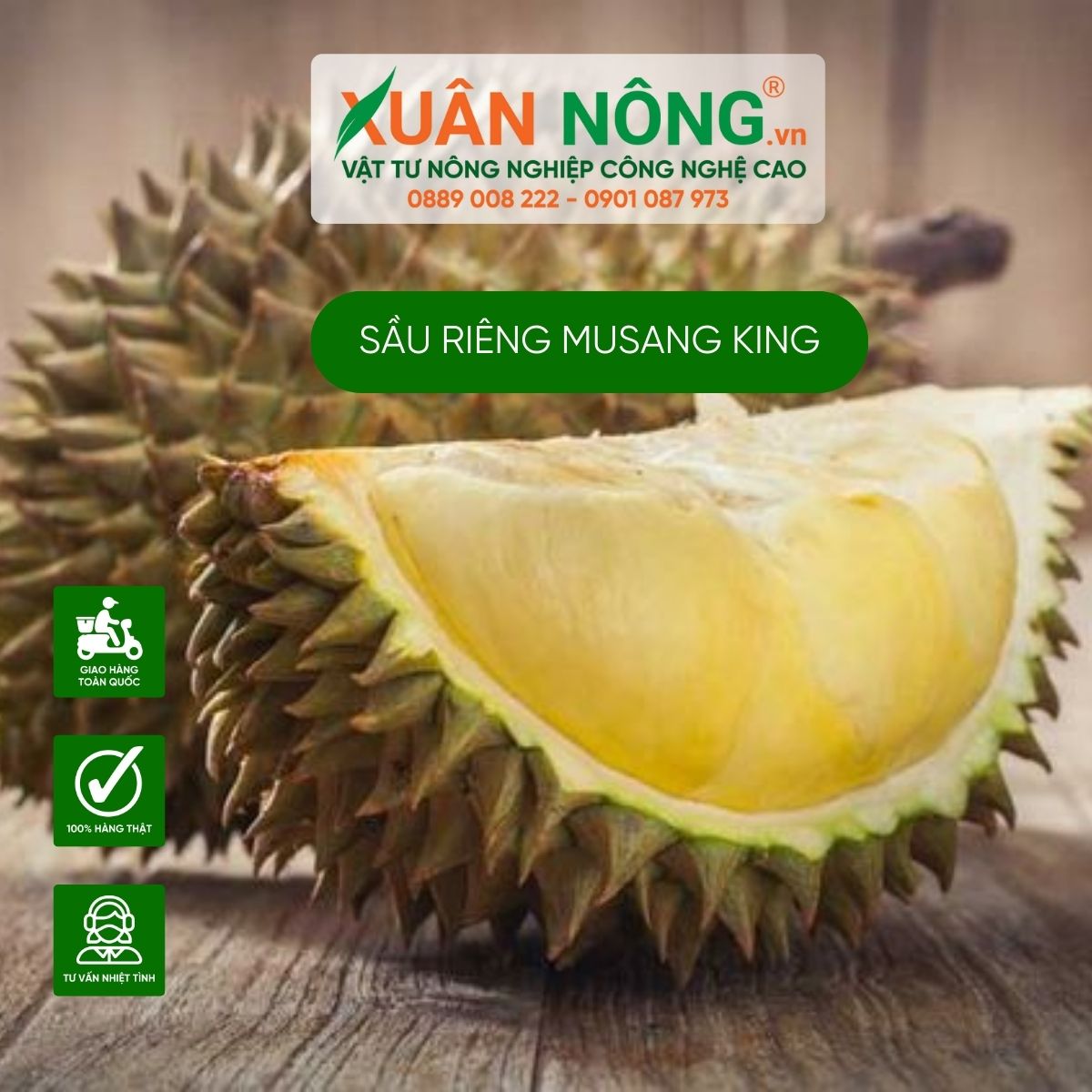 sau-rieng-musang-king-nang-suat-cao-khong