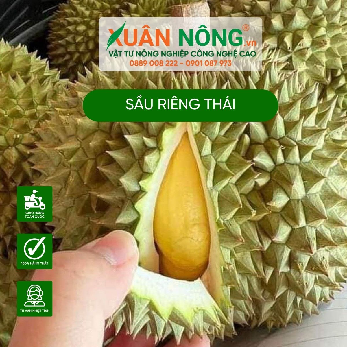 sau-rieng-thai-ngon-khong