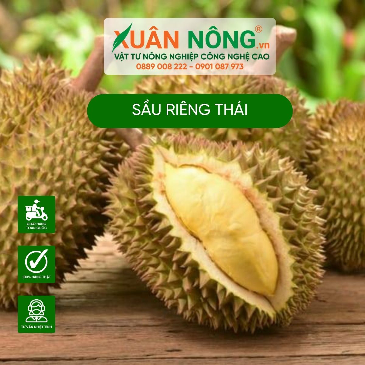 sau-rieng-thai-va-sau-rieng-ri6