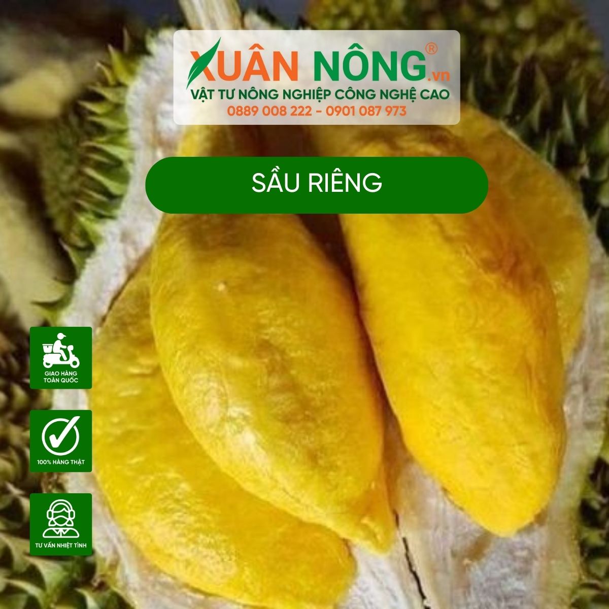 sau-rieng 1