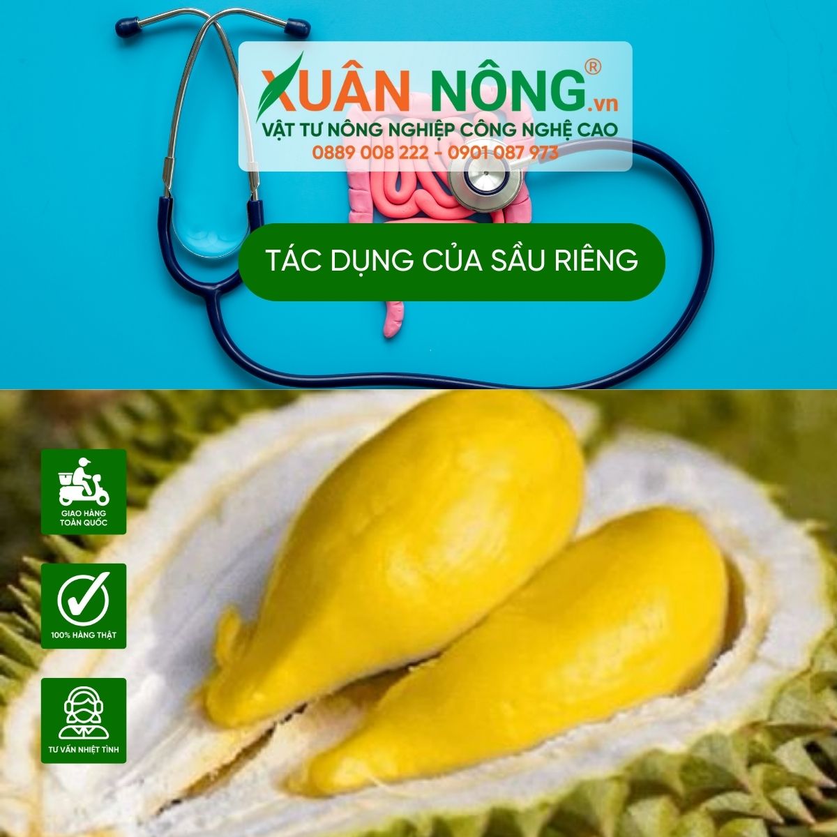 tac-dung-voi-tieu-hoa