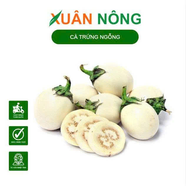 Ca-trung-ngong.1
