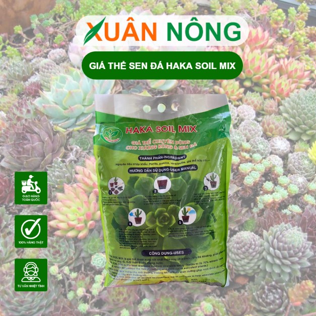 Gia-thê-sen-da-hakasoilmix.2