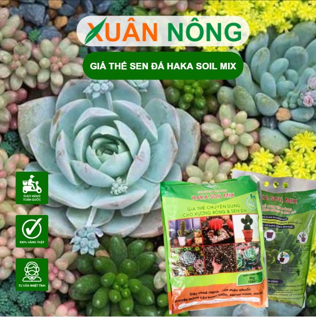 Gia-thê-sen-da-hakasoilmix