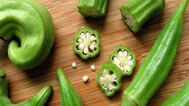 Hướng dẫn kỹ thuật trồng đậu bắp cho năng suất cao