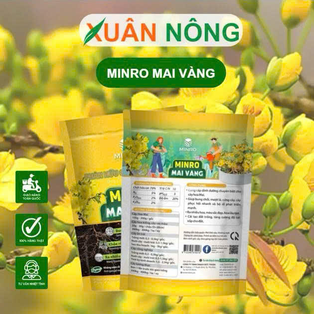 MINRO-MAI-VANG.1