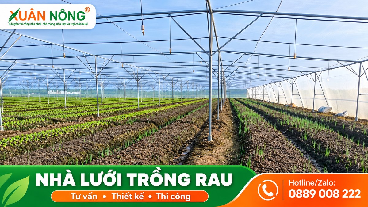 01-nha-luoi-trong-rau-xuan-nong