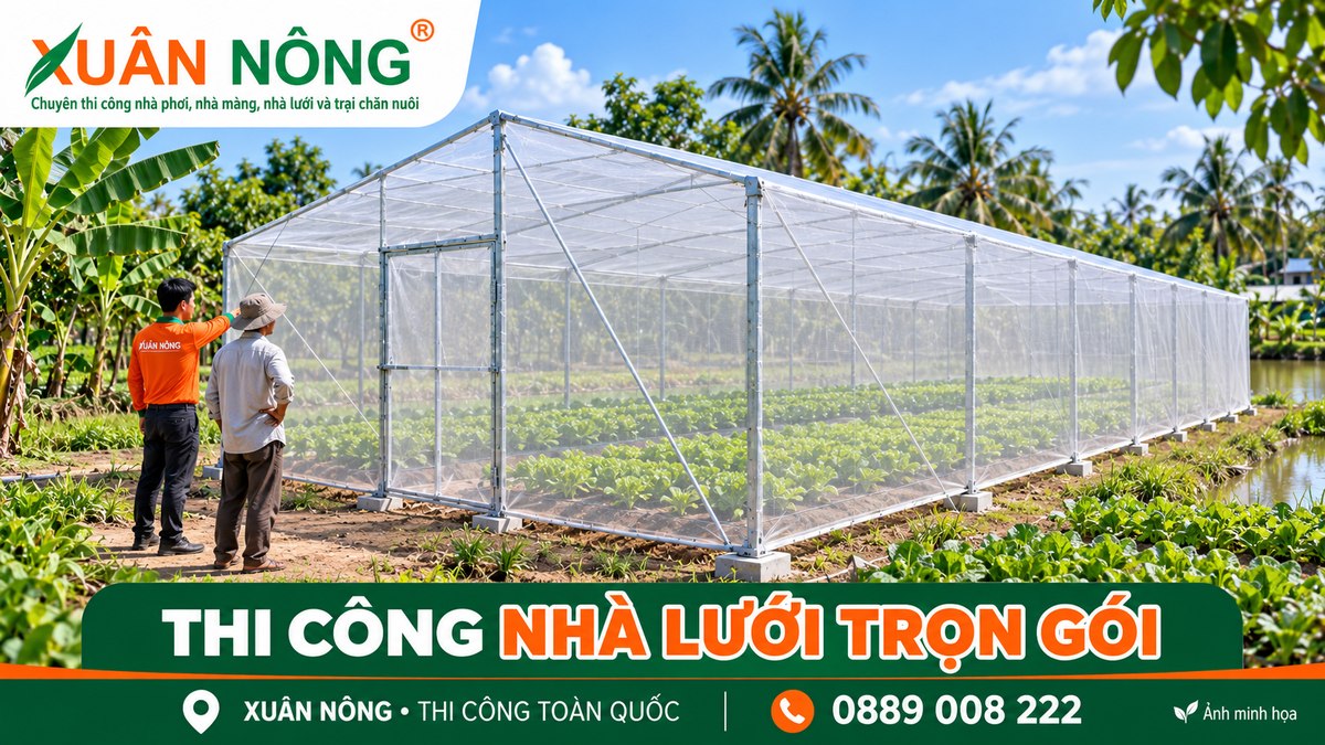 01-thi-cong-nha-luoi-tron-goi