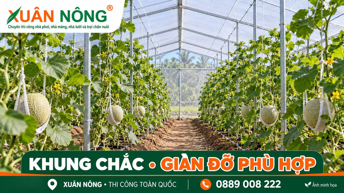 02-gian-do-dua-luoi