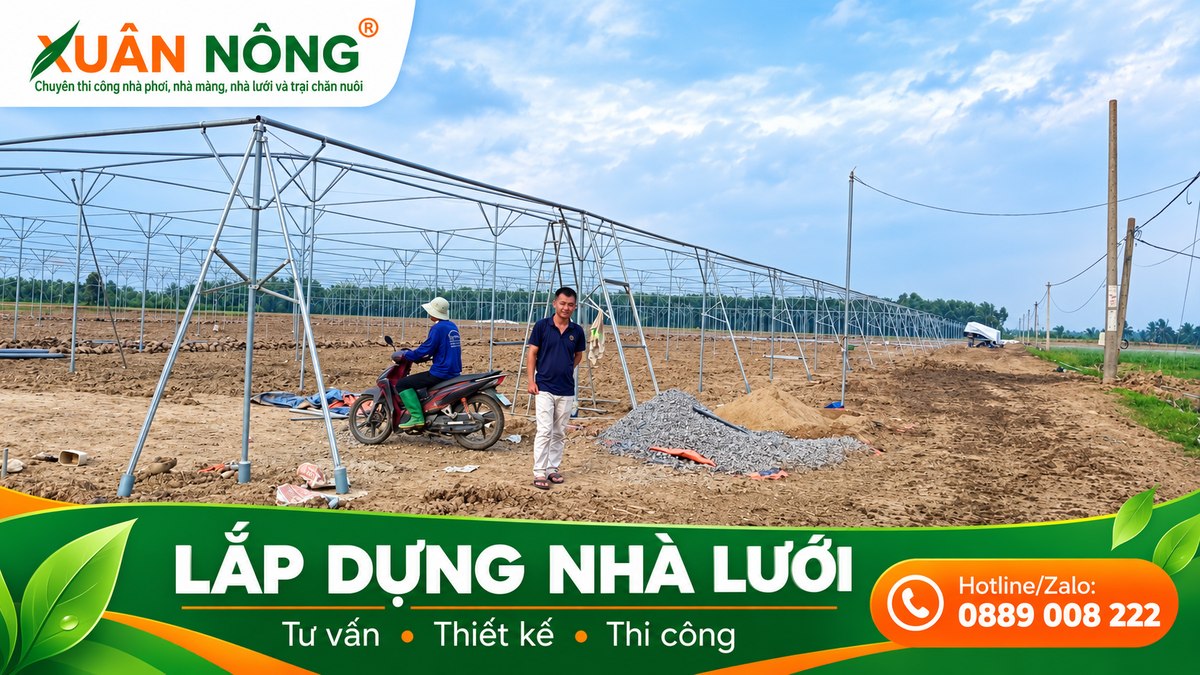 04-lap-dung-nha-luoi-xuan-nong