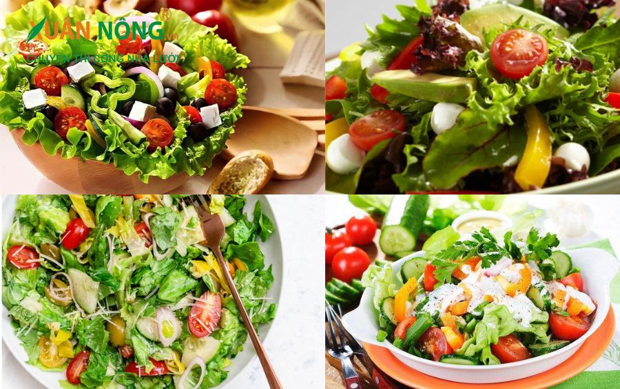 Salad rau cần tươi ngon