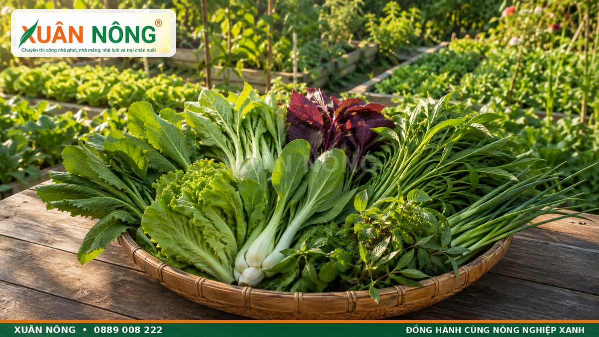 Giỏ rau cải xà lách rau muống hành lá thu hoạch từ vườn nhà