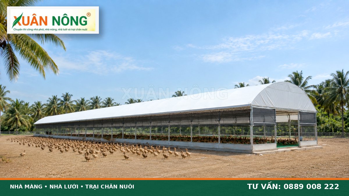 Chuồng nuôi vịt trên cạn bằng màng cắt nắng Xuân Nông