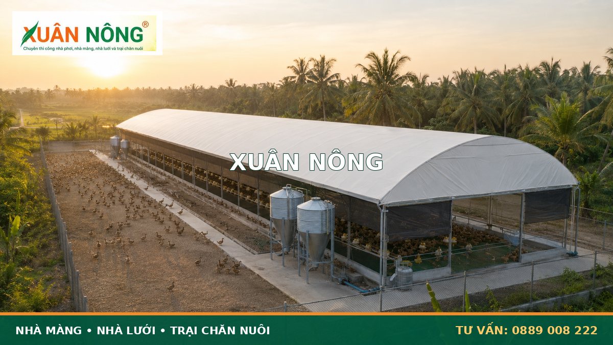 Nuôi vịt đẻ trứng trong nhà màng giúp kéo dài chu kỳ đẻ