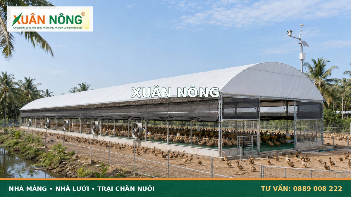 Hệ thống thông gió và làm mát trong nhà màng nuôi vịt