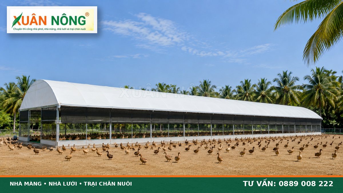 Mái màng cắt nắng kết hợp vách lưới thông thoáng cho chuồng vịt