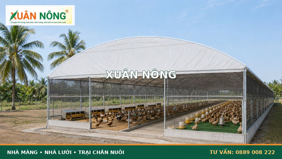 02-vit-de-trung-giong-va-thuong-pham
