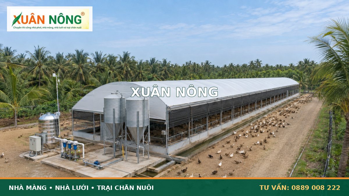 Các hạng mục kỹ thuật của trại nuôi vịt công nghệ cao