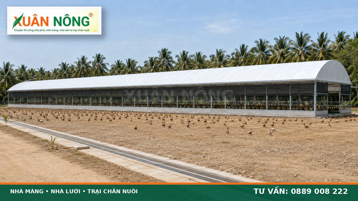 Mặt bên nhà nuôi vịt đẻ trên cạn Xuân Nông