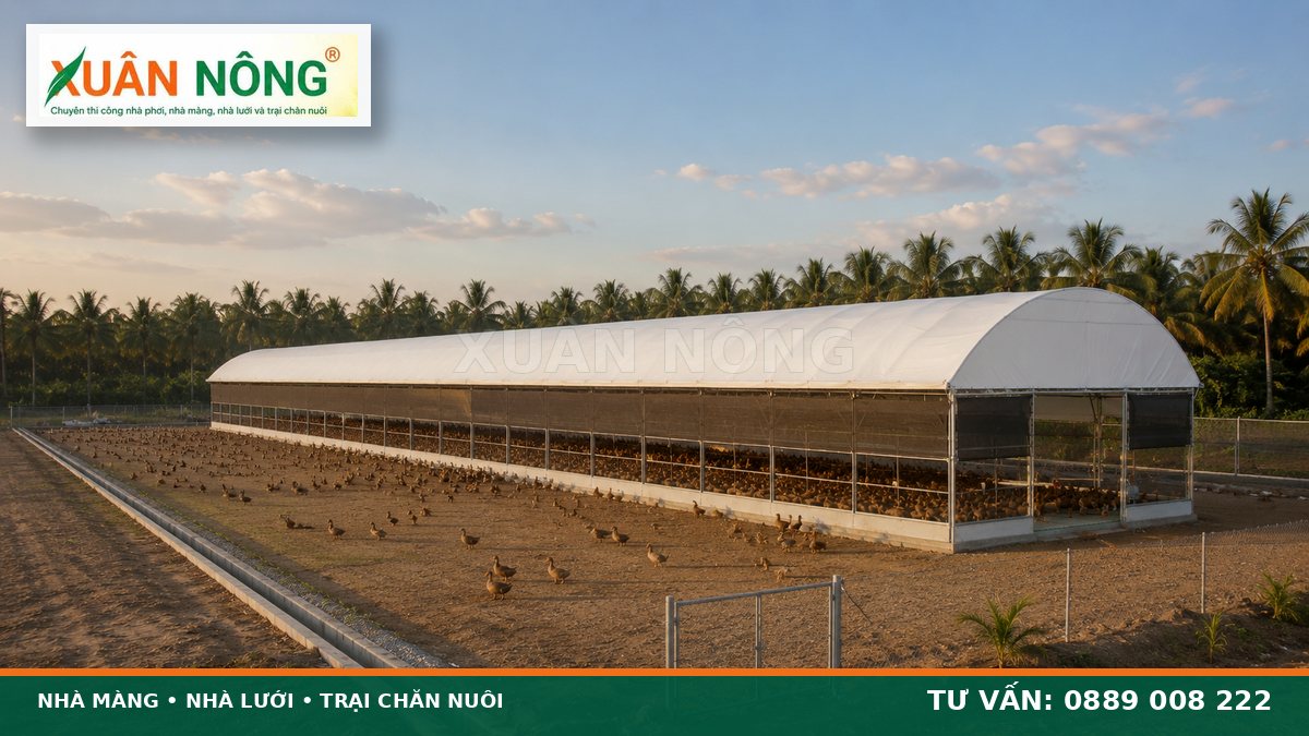 Góc phía sau nhà nuôi vịt đẻ trên cạn hiện đại