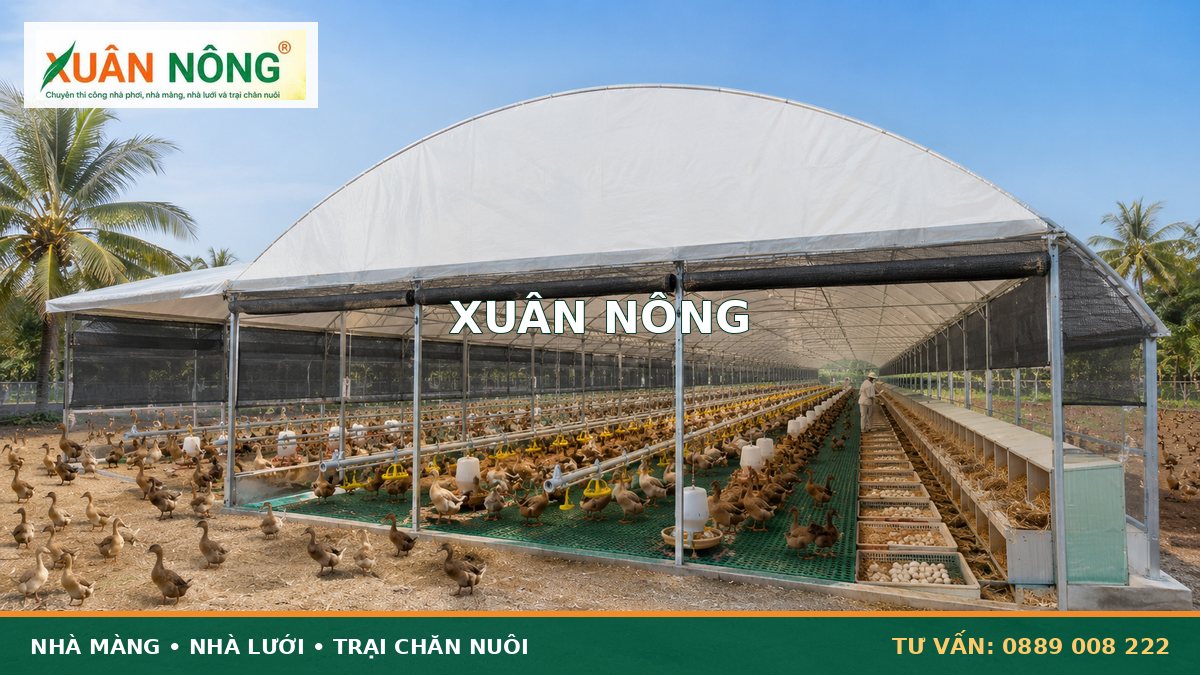 04-he-thong-o-de-va-thu-trung-vit