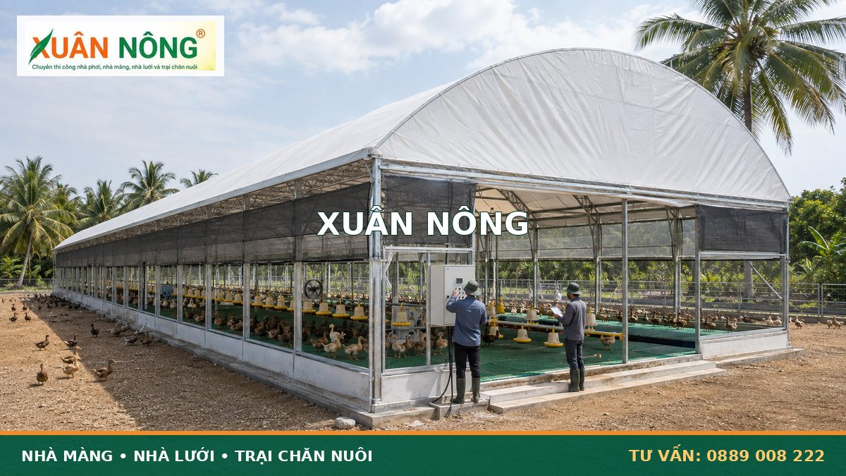 Quy trình vận hành công nghệ nhà màng trong chăn nuôi vịt