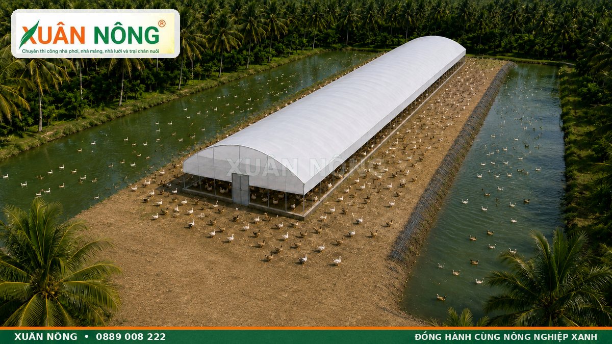 Phối cảnh tổng thể nhà màng nuôi vịt rộng 12m dài 120m