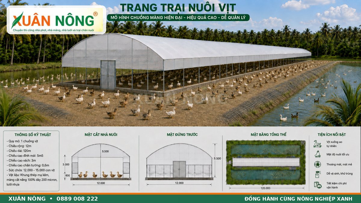Bản vẽ thông số và tiện ích nhà màng nuôi vịt Xuân Nông