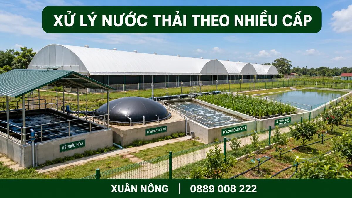 he-thong-xu-ly-nuoc-thai-trai-mang-xuan-nong