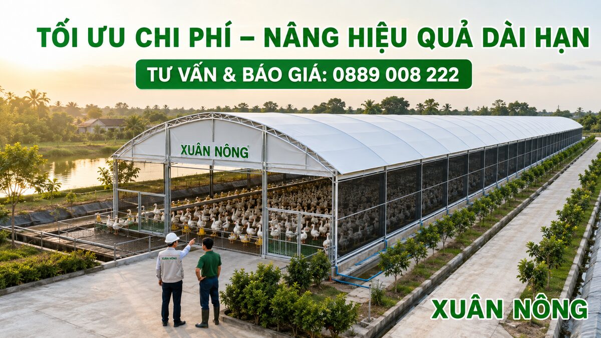 trai-mang-cat-nang-toi-uu-chi-phi