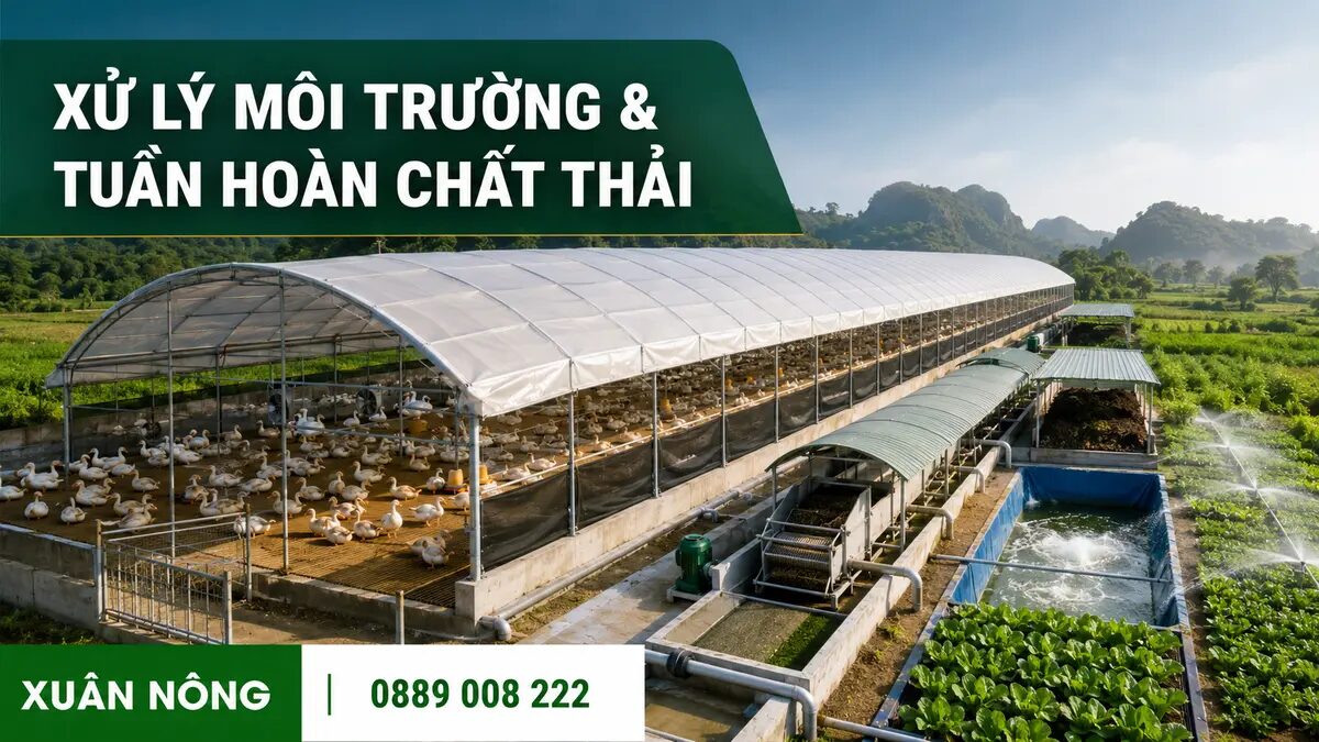 xu-ly-moi-truong-tuan-hoan-chat-thai-trai-mang-xuan-nong