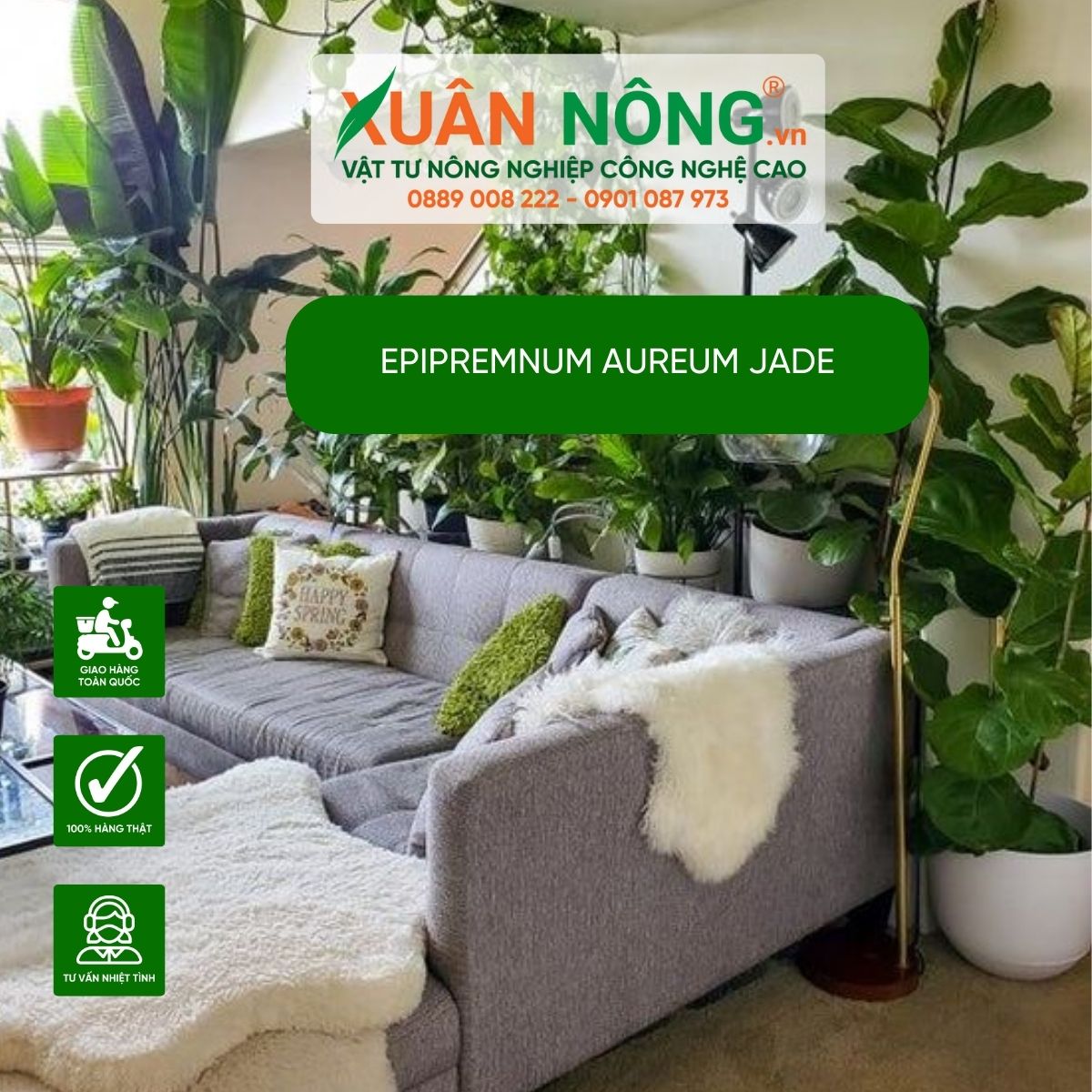 aureum-Jade-trang-tri-phong-khach