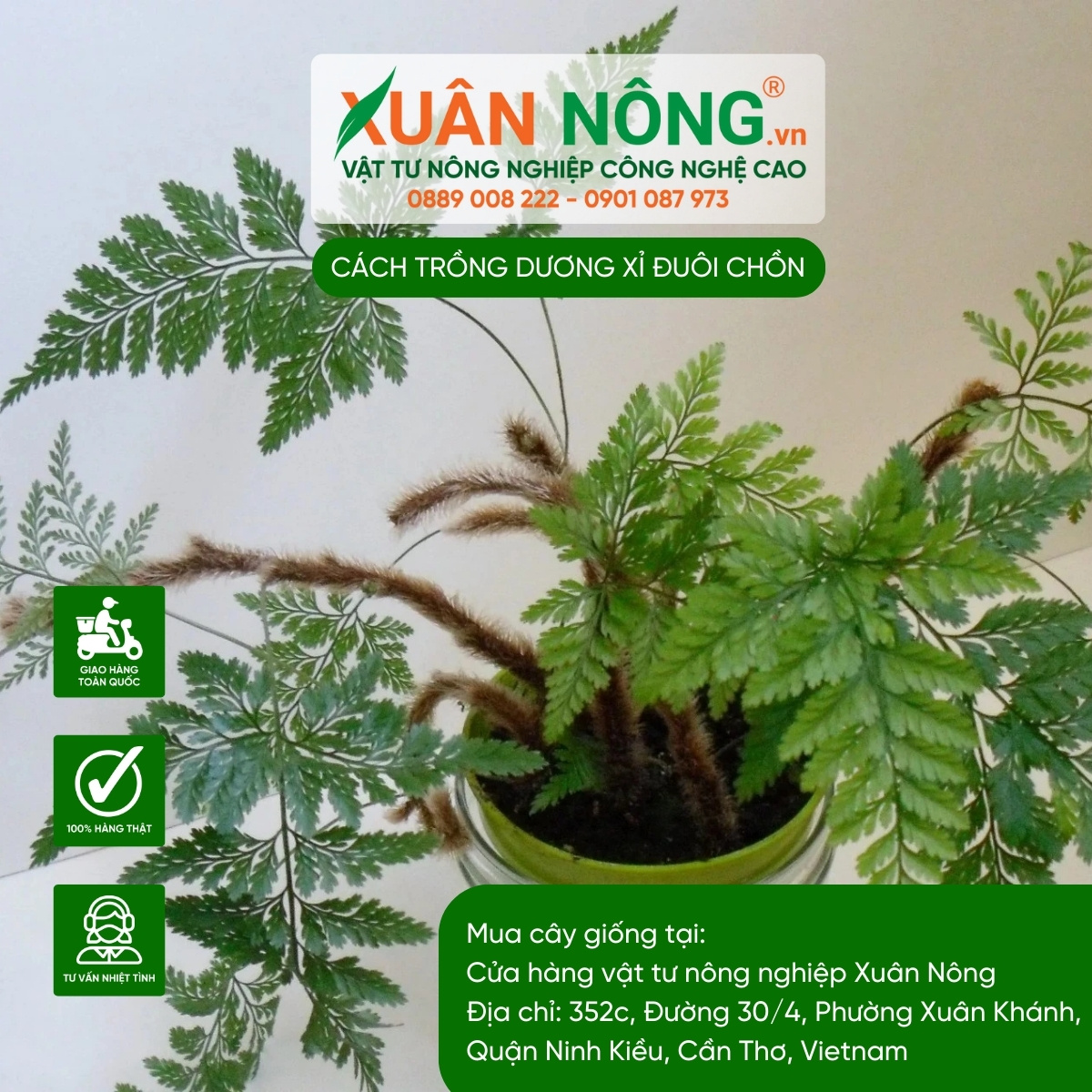 Bổ sung phân bón hợp lý