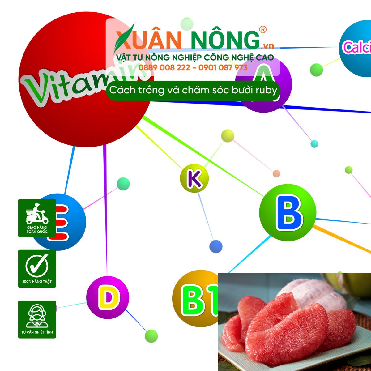 Cung cấp chất xơ và vitamin