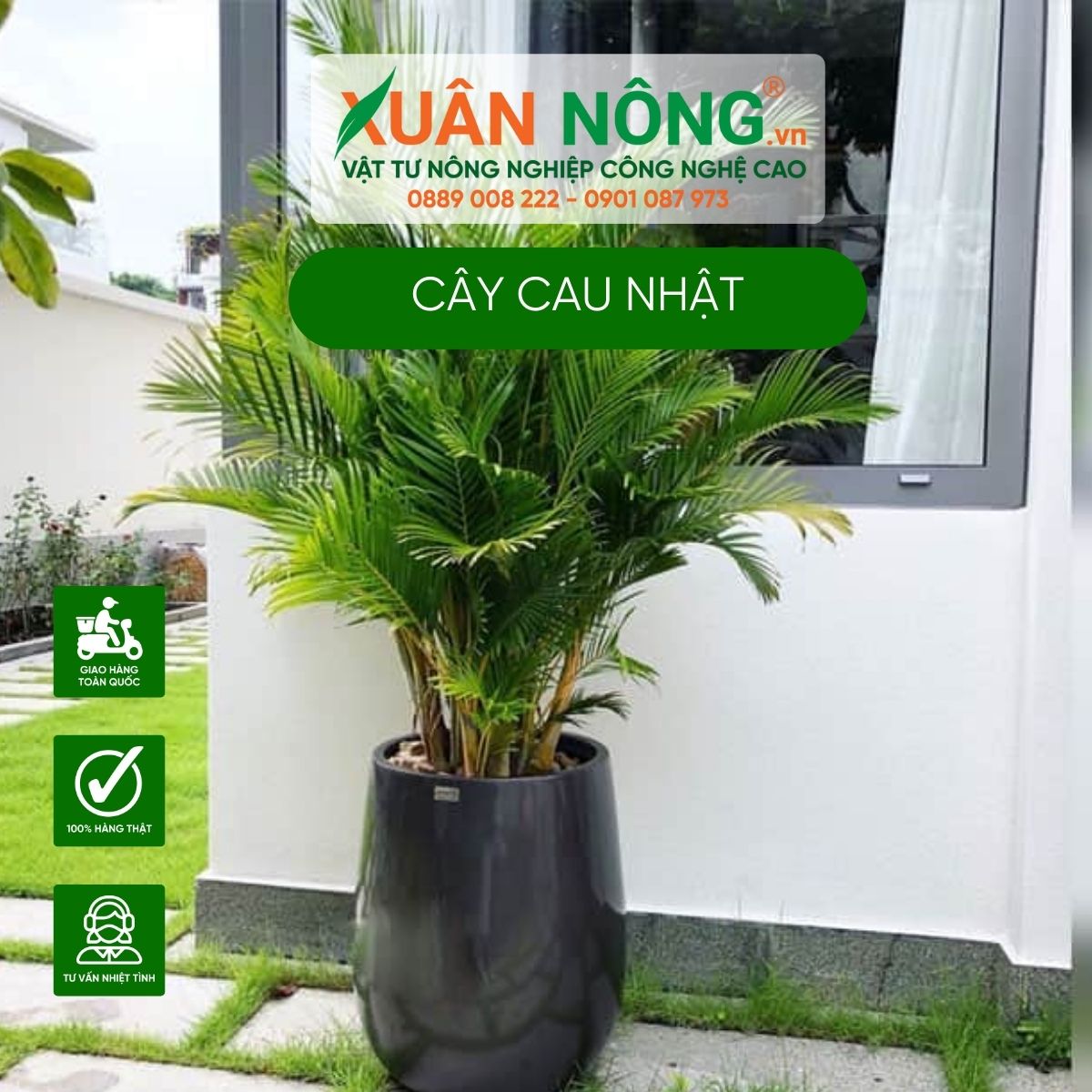 cac-cong-dung-cay-cau-nhat