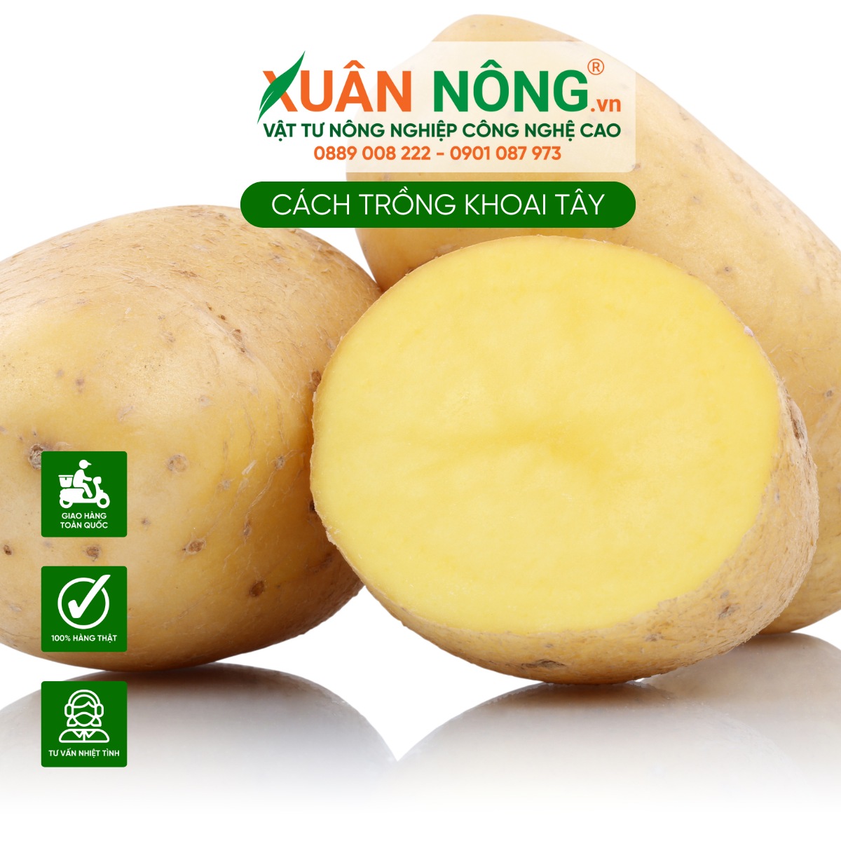 Vitamin và khoáng chất