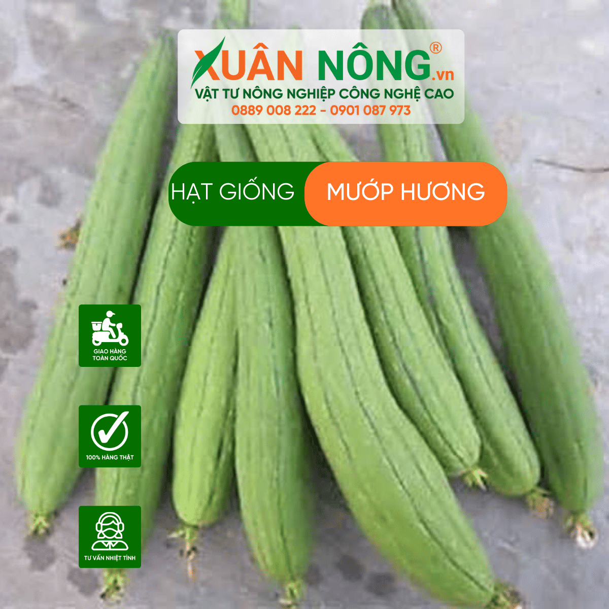 cach-trong-muop - huong 