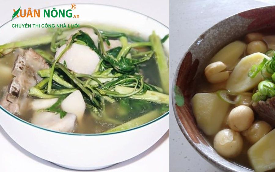 Canh khoai sọ rau nhút